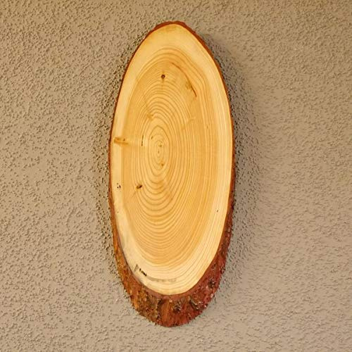 Lärche Rothirsch Hirsch Schild Trophäenschild Geweih Baumscheibe Baumschild Natur Holz modern