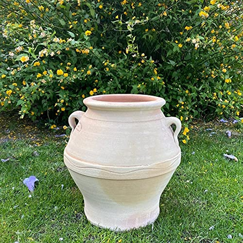 Palatina-keramik | högkvalitativ terrakotta amfora | 35 cm | vinterhård planteringskruka planteringskruka för trädgården, balkongen eller terrassen, Cassia 35