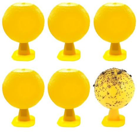 6pcs Piège à Mouche des Fruits Mouches de Fruits Jaunes Boules Boule De Piège à Mouches Suspendue pour Pots de Fleurs balcons Cours vergers Cuisine Mouches deFruits Fourmis moustiques et araignées