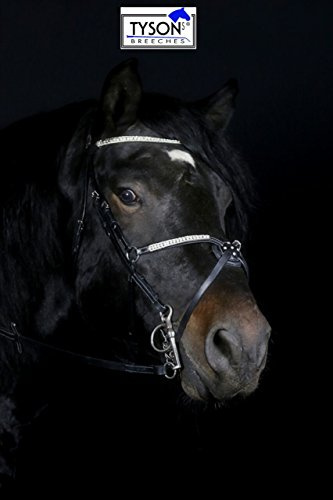 Tysons Breeches Deister Mexikanisch Super Glitzer/Strass Leder Schwarz Reithalfter Pony VB WB X Full Springen Zaum