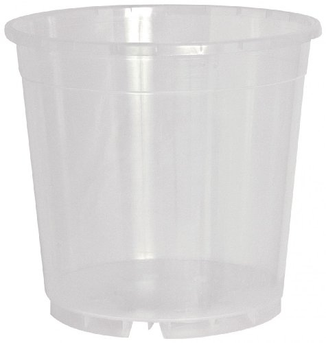 Clear orchid pot clear