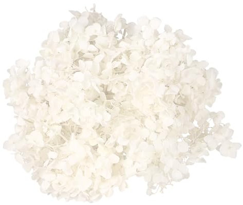 Didiseaon Petali di Fiori di Ortensia Essiccati Naturali Color Avorio, Petali Fai da Te per Decorazioni Matrimoni, Nail Art e Centrotavola, Confezione da 20 G per Lavori Creativi e Eventi