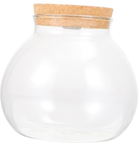 TOYANDONA Glasvase Mit Holzdeckel Als Terrariumflasche Für Hydroponik-pflanzgefäß Tisch-glasterrarium Zur Pflanzenvermehrung Durchsichtiges Pflanzenstation