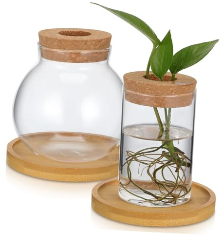 Abaodam 2pcs Wood Vase Glass Propagation Holders for Plants Hydroponic Desktop Planter Vase Water Propagation Station for Indoor Living Decor