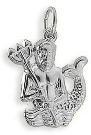 Sternzeichen Anhänger Wassermann Massiv Sterling Silber 925 (Art.213213)