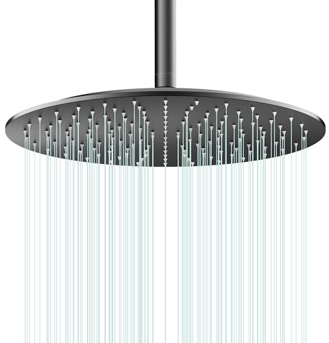 AULEEND Pommeau de douche à effet pluie entièrement métallique - Acier inoxydable robuste, facile à installer, haut débit d'eau, design moderne ultra fin pour salle de bain (D-noir mat, 16)