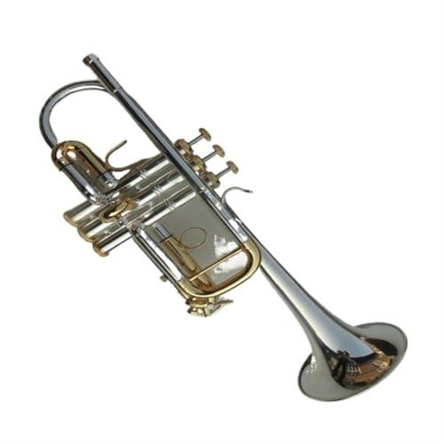 Anfänger Trompeten Messingtrompete C-Trompete Instrument Edelstahl Professionelle Messing Tonreiche Trompete