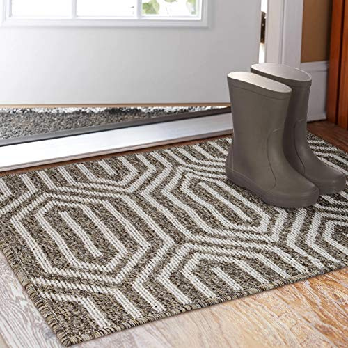 Indoor Doormat 24x 36, Absorbent Front Back Door Mat Floor Mats, Rubber Backing Non Slip Door Mats Inside Mud Dirt Trapper Entrance Door Rug Carpet, Machine Washable Low Profile-Brown Time Cloister