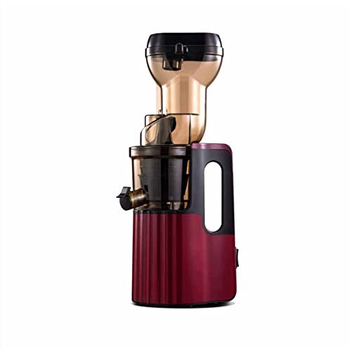 Slow Masticating Juicer High Yield,Cold Press Juicer Machine with Quiet, Juicer Extractor with Reverse Function for Vegetables,Easy to Clean
