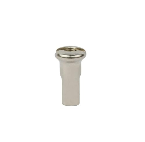 FYJL Niples Raggi 36 Pezzi di 12G/13G/14G Mountain Bike Raggi Tappi Raggi in Acciaio Giunti Niples Raggi MTB(12G Silver13mm)
