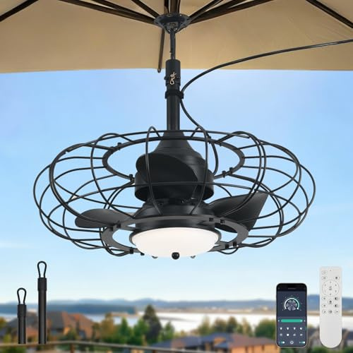 AHAWILL Outdoor Ceiling Fan with Light,20in Gazebo Fan with Remote and APP, 6 Speed,Dimmable 3 Color,Waterproof Cage Fan for Patio,Porch, Pergola,Canopy (dark black)