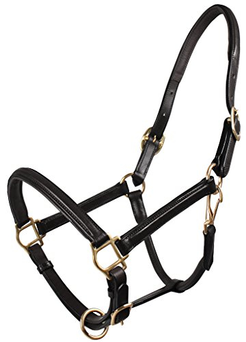QHP luxeriöses Lederhalfter fein, verstellbar und weich unterlegt (Vollblut, Schwarz)