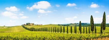adrium AluVerbund-Bild 50 x 20 cm: Panoramablick auf die malerische Landschaft der Toskana mit Weinbergen in der Chianti-Region, Toskana, Italien(19758902)