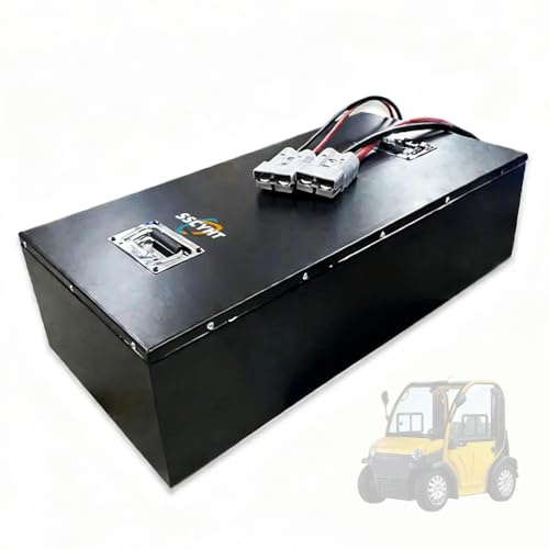 SSCYHT Batería de Litio de Repuesto de 60 V y 100 Ah para Motocicleta Go Kart, Kit de Repuesto para Motor de Triciclo/Carretilla elevadora eléctrica