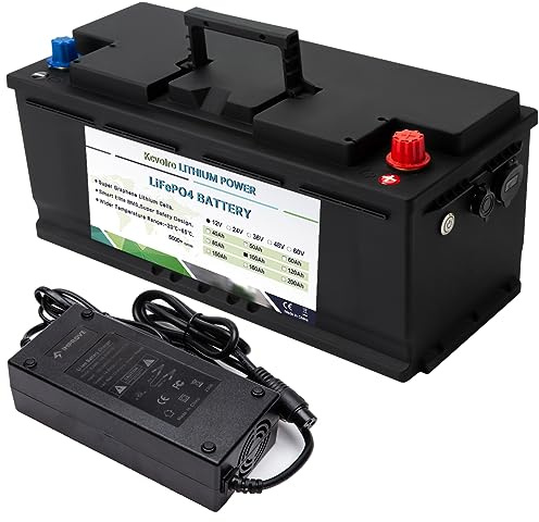 12V 100Ah Lifepo4 Lithium-Batterie, Deep-Cycle bis zu 7000 Zyklen, geeignet für Golf-Carts, Solar-Caravans, Wohnmobile, Marine-Batterien und andere Anwendungen. Inklusive Ladegerät