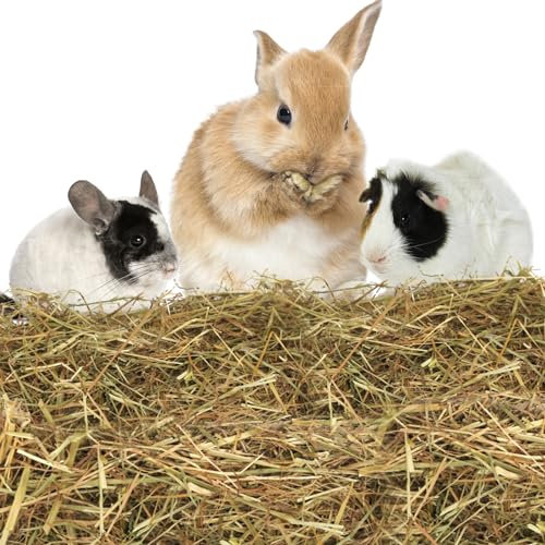 Nobleza - (4 * 1kg Kaninchen Wiesenhe, Hauptfutter für Hasen mit Gemüse, Natürliches Nagerfutterlebenswichtigen, Futter für Meerschweinchen, Vitaminen und Mineralien