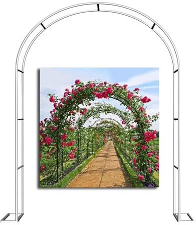 Arche de jardin en métal robuste – Arche de rose de mariage résistante aux intempéries et antirouille Décoration intérieur/extérieur Blanc Taille : 240 x 220 cm – Parfait pour les événements et les