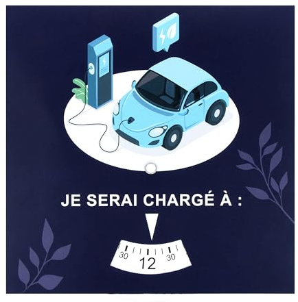 Color Pop Disque de Stationnement pour Recharge VEHICULE Electrique - Spécial Zone de Recharge VE - Carton - Fabrication France - Molette Réglable