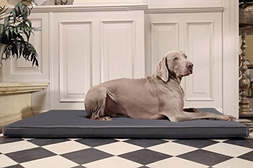 tierlando® Carlos Ortho-Medic Orthopädische Hundematte Kunstleder Visko Hundebett Matratze Größe: L - 100x80cm - CA4 | Farbe: 02 Graphit