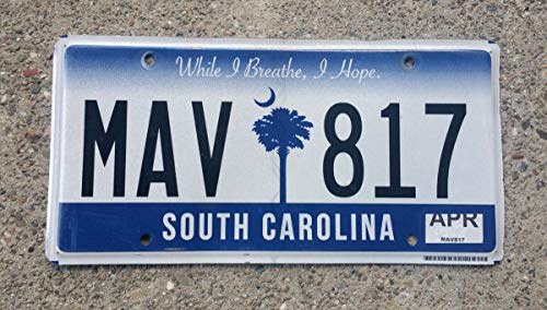 TammieLove Real South Carolina Nummernschild New Palmetto Graphic Auto Number Car Tag Sc 1 15,2 x 30,5 cm Nummernschild