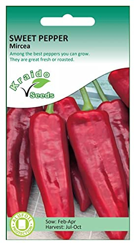 Sweet Pointed Red Pepper Seeds Mircea 50 Seeds Capsicum Annuum Grow Your Own Vegetable Ideal for Greenhouse or Garden Growing in Raised Beds Polytunnel Growbag or in Large Pots and Containers