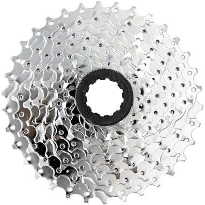 Sram Cassettes Kassette und Ritzel