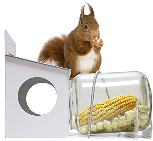 PFNRTH Eichhörnchen Futterhaus, Hinterhof Gallone Glas Eichhörnchenfutterhaus, für den Außenbereich, genießen Sie den Spaß der Eichhörnchen Essen Mais, Erdnüsse und Samen.
