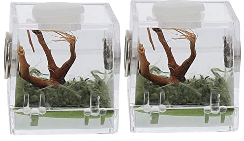 Milisten 2stücke Springspinne Zuchtbox Aus Acryl Transparente Terrarium Für Kleine Reptilien Leicht Und Kompakt Für Fütterung Und Beobachtung