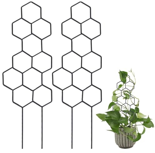 2 Piezas Enrejado para Plantas Trepadoras Rejilla de Jardín con Forma de Panal Soporte Tutor Planta Reutilizables de Interior para Flores Vid Hiedra Jaulas de Tomate (Tipo 2)