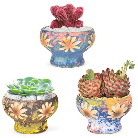 Sungmor 3,74 handgeschnitzte Keramik Sukkulente Blumentopf | 4er Set | Kaktus Blumentopf/Container/Pflanzgefäß voller Farben/Indoor Outdoor Home Decor/Geschenkidee, Bürodekoration