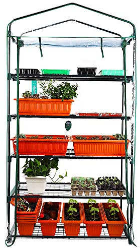 Homes Garden Serre de Jardin avec Étagère de 5 Niveaux Couverture de Serre de Jardin Idéale pour Plantes, Fleurs ou Légumes