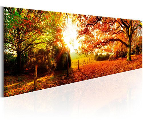 B&D XXL Acrylglasbild Wald 120x40 cm 1 Teilig Wandbild auf Acryl Glasbilder Kunstdruck Moderne Acrylglas Platte Wanddekoration Geschenke Heimdekoration Glasbild Landschaft Natur Panorama Baum Herbst