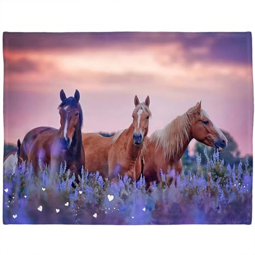 Violetpos 150 x 200 cm Flanell Decke Weich Fleecedecke Kuscheldecken SanftBettüberwurf Lila Lavendel 3 Pferde Sonnenuntergang
