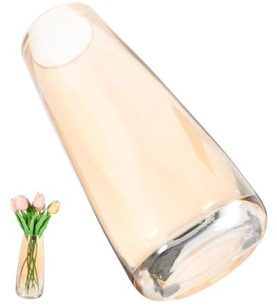 DECHOUS Glasvase Für Hydrokultur Kreative Dekovase Aus Glas Moderne Vasen-Dekoration Für Schreibtisch Und Zuhause Glasvasen-Ornament Für Büropflanzen