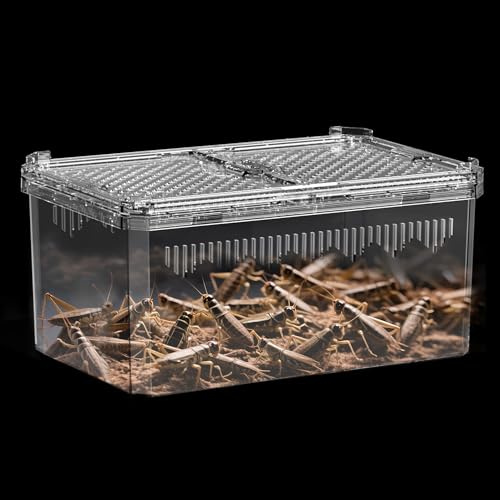 【No Assembly】 Breathable and Secure Reptile Tank with high Transparency - Ideal Container House for Hermit Crab, Tarantula Enclosure, Cricket Habitat or Jumping Spider Habitat (S)