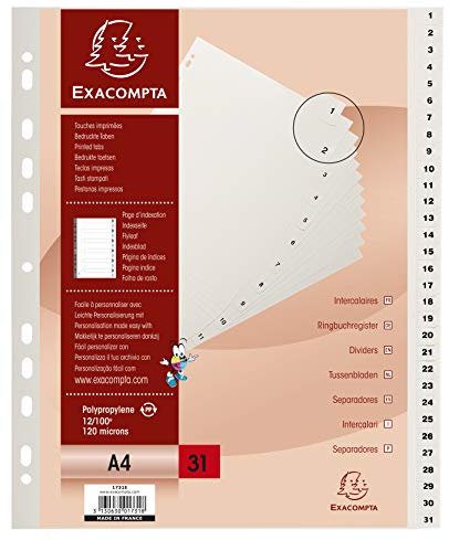 Exacompta 1731E Register (PP, Teilung 1-31 - 31 Taben, DIN A4, Universallochung) 1 Stück weiß