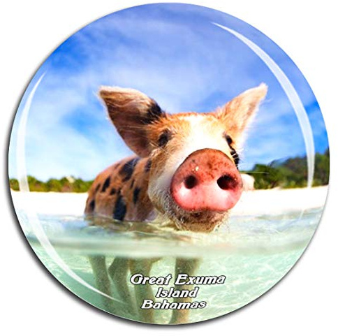 Weekino Großes karibisches Meer Exuma-Insel-Bahamas Kühlschrankmagnet 3D Kristallglas Touristische Stadtreise City Souvenir Collection Geschenk Starker Kühlschrank Aufkleber