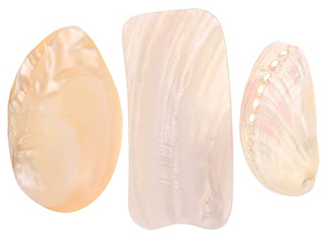 Housoutil 3stücke Teiliges Natürlicher Muschelornamente Für Fotografie Meeresdeko Fotohintergrund Und Kreative Dekoration Für Strandmottopartys Und Hochzeitsdekoration
