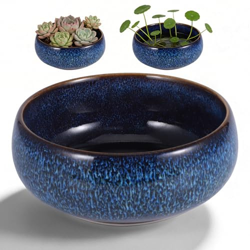 COZHYESS Lotus - Maceta de cerámica para plantas acuáticas | Cuenco sagrado de flor de loto, jarrón plano esmaltado para semillas de loto bonsái plantas hidropónicas suculentas (azul)