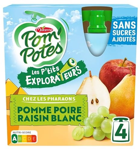 Pom'Potes Gourdes Compote Sans Sucres 90g - Compote de Fruits Naturels - Idéale pour les P'tits Explorateurs - Snack Sain et Pratique - Épicerie - Le Lot De 4