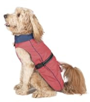 Dog Gone Smart Coral hundregnjacka 40 cm – Märke: Dog Gone Smart – EAN: 0849670023557