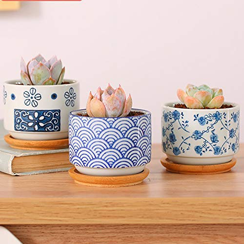 Conjunto de 3 Olla suculenta de estilo japonés Cerámicos Planta Maceta Suculento Cactus Planta Maceta Planta Contenedor Vivero Maceta Macetas de jardín Envase Decoración de oficina Boda de cumpleaños