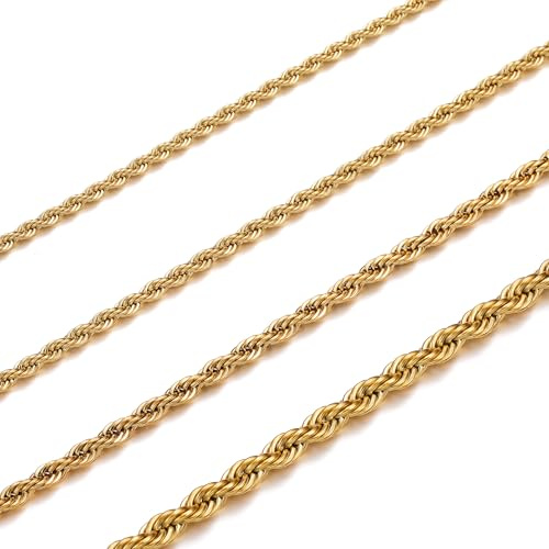 HSWYFCJY 2-4 MM Twist Rope Chain Stainless Steel Silver/Gold/Black Rolo Chains Necklace for Men Women Fashion Jewellery Birthday Gift Length of Chain 45/50/55/60/70 CM