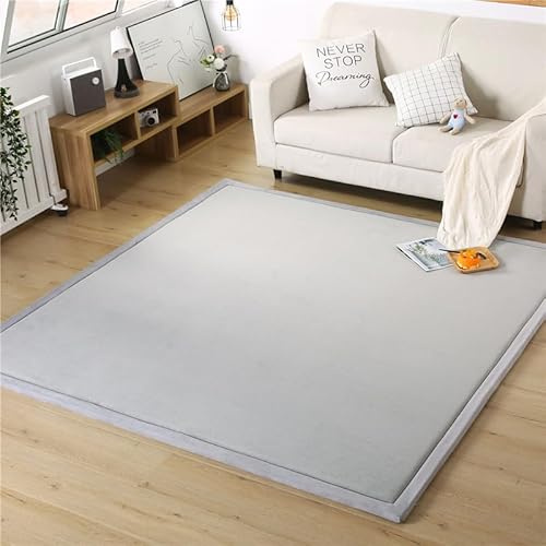DSSHENGDS Alfombra de Sala de Alfombra Suave Lavable Moderna, Antideslizante.Manta de Juegos Alfombra Yoga,Ejercicio y Gateo De Terciopelo Coral Grueso Moderna 2cm-M- 60 * 200cm