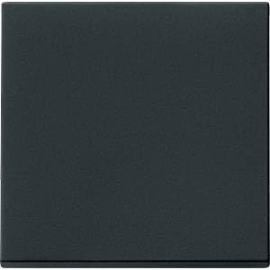 Gira 3290005 Kontroll-Wippe schwarz matt