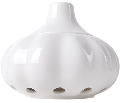 SUIOPPYUW Multipurpose Garlic Holder Ceramic Jar For Onion And Potato Storage Vented Freshness Ceramics Garlic Pot Storage