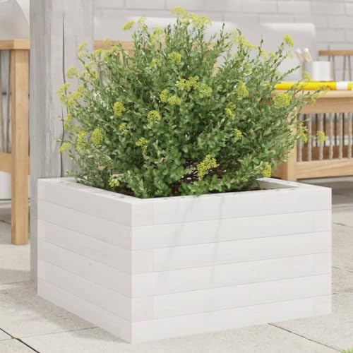 HaoChrymec Jardinière with Pin Massif Wood, Design Robuste, Jardinières Extérieur, Bac à Fleurs Extérieur, Jardinière Balcon, Balconnière Extérieure, Blanc, 40 x 40 x 23 cm