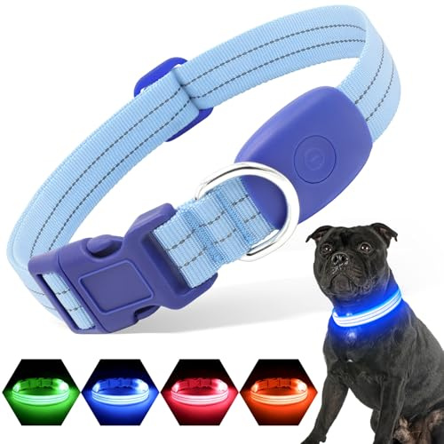 PZRLit LED Hundehalsband – Leuchthalsband Hund Verstellbar, Reflektierendes & Wasserdichtes Hundehalsband, USB Aufladbares Sicherheitshalsband für Kleine Mittel Große Hunde, Halsbänder