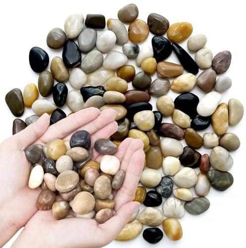 Ciottoli lucidati, piccole pietre decorative di fiume, pietre naturali lucide di colore misto, per la decorazione della casa, per acquario, piante, vasi e piante grasse (2,3 kg)