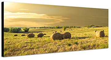 Augenblicke Wandbilder Keilrahmenbild Wandbild 150x50cm Toskana Feld Strohballen Herbst Abendsonne